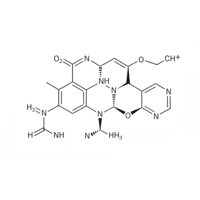 Detailed molecular structure of NAD+ highlighting its components