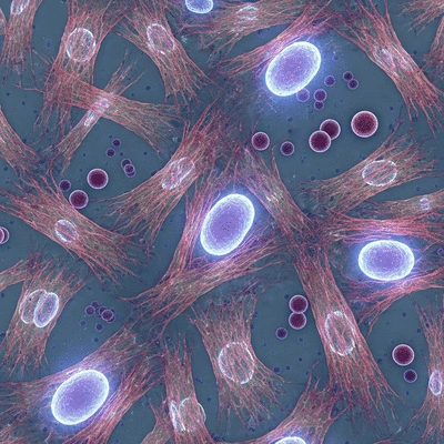 Microscopic view of healthy cells with vibrant energy production, no text, no words, no typography, clean image